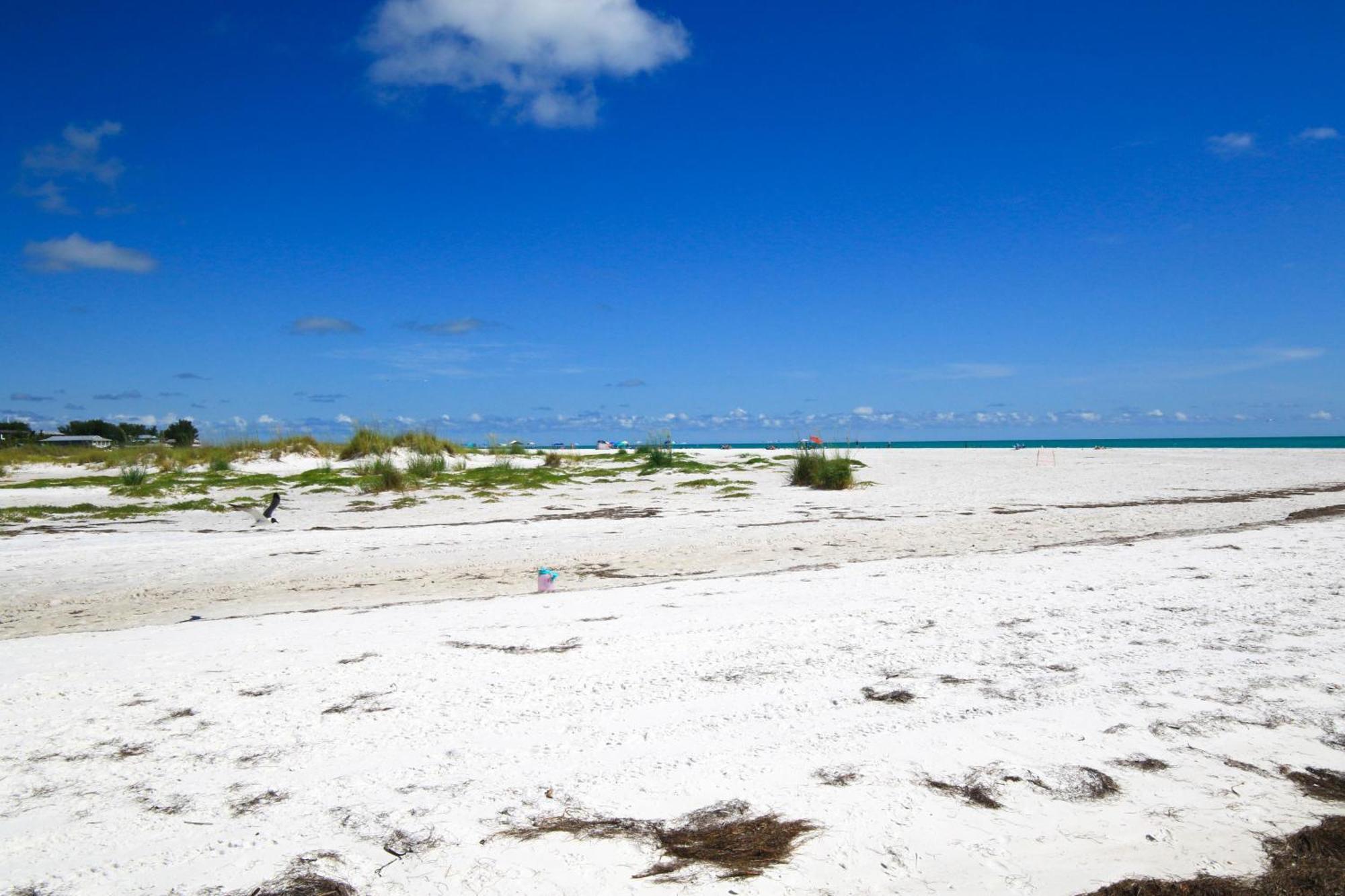 Anna Maria Island Runaway Tropical Dream-One Minute Walk To The Beach-Heated Pool Bradenton Beach Esterno foto